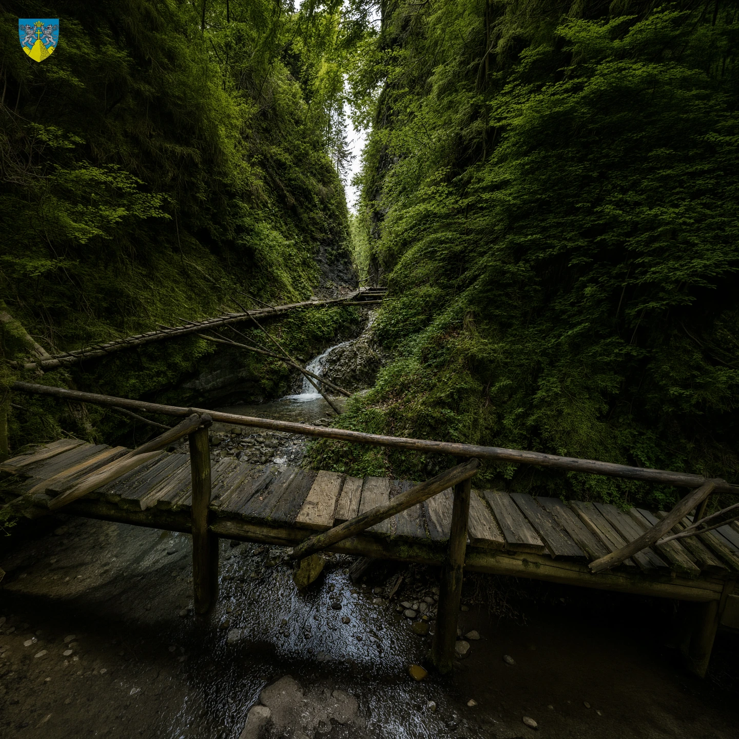 Cheile Moara Dracului – Fotografie 6