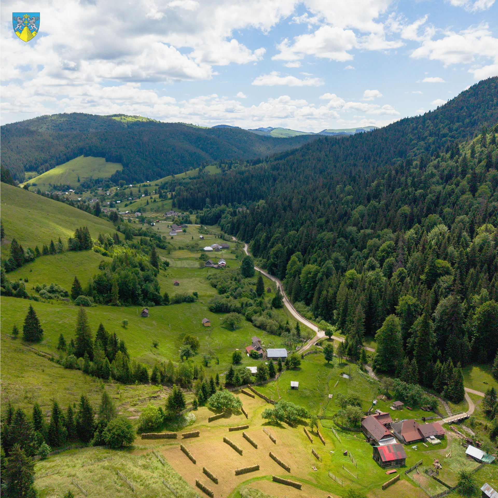Codrii Seculari Slătioara – Fotografie 6