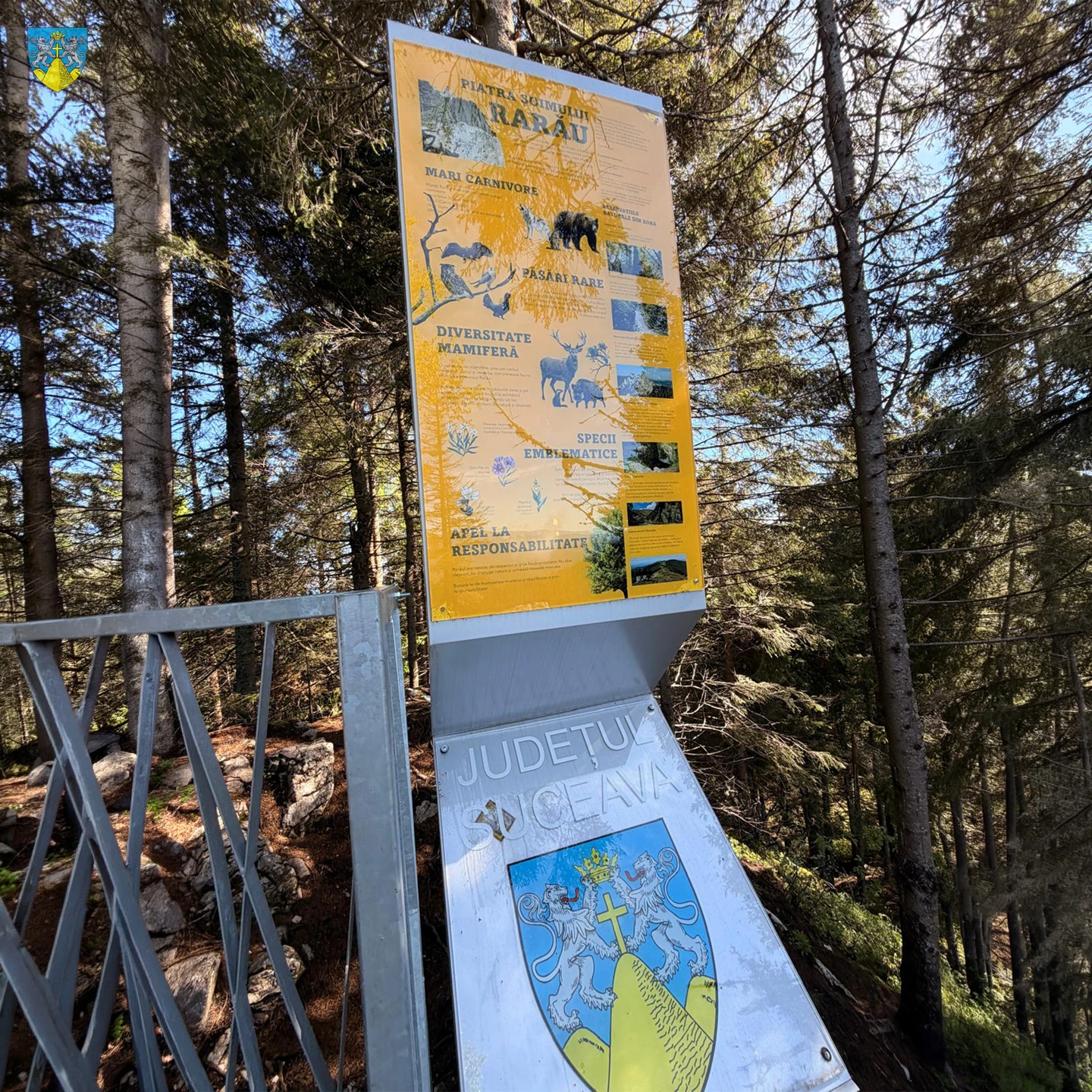 Skywalk Rarău – Piatra Șoimului – Fotografie 9