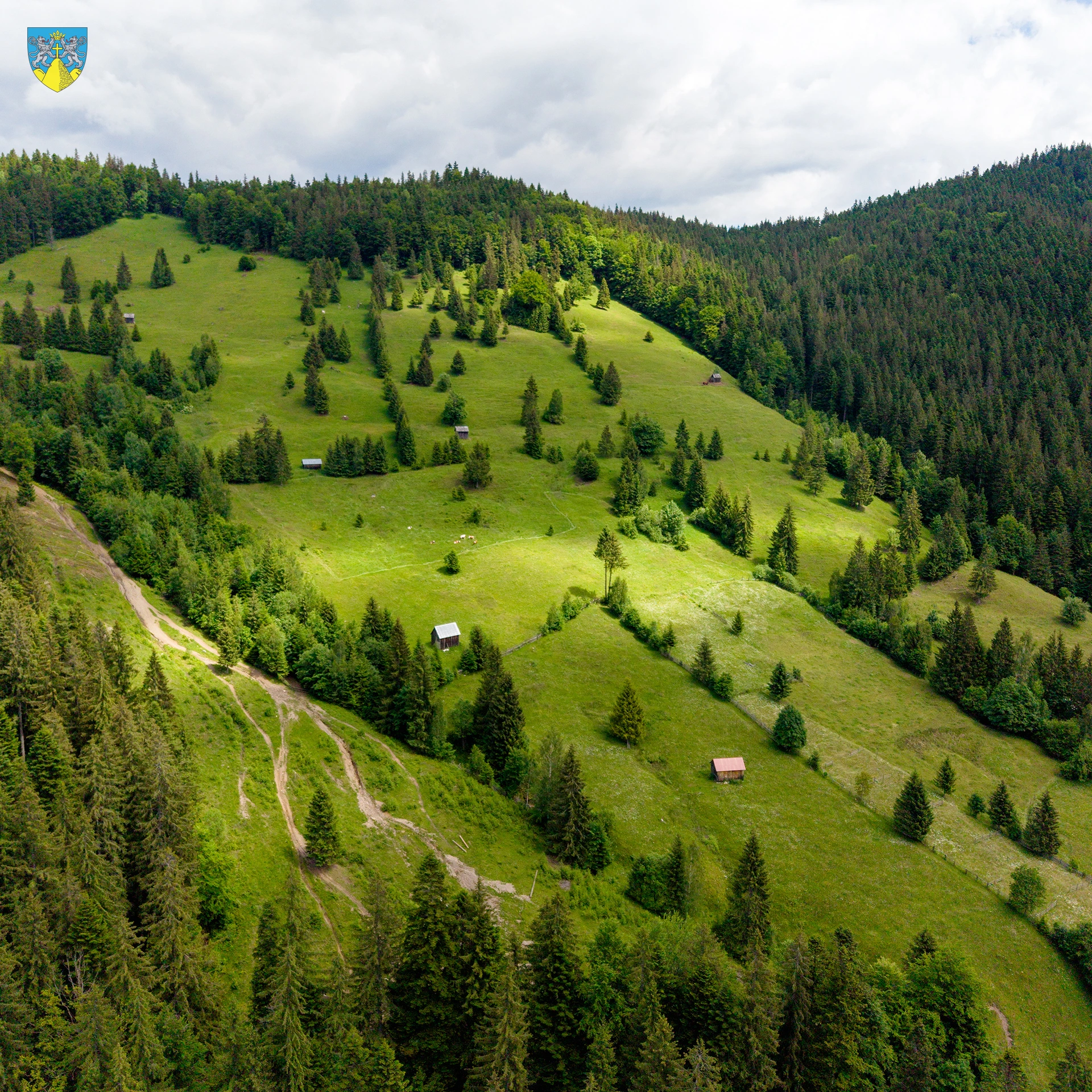 Codrii Seculari Slătioara – Fotografie 12
